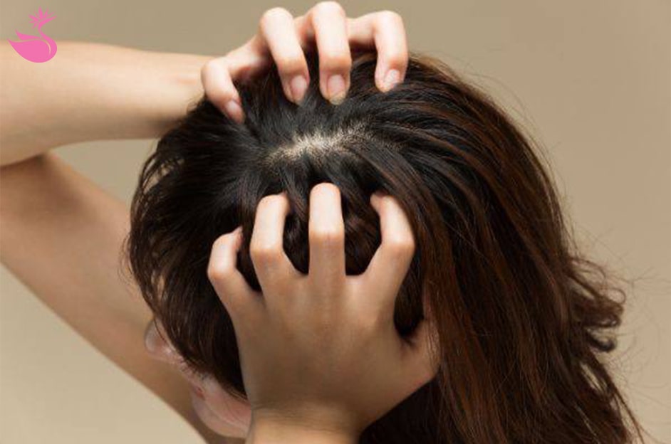 مجموعه فروشگاه جدید فروشگاه ما